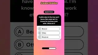Christian Cat Corner Quiz - Animal Riddles!