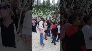 the lawu park