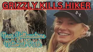 These Eight Tips Will Help Prevent A Grizzly Bear Attack 🐻 🌲 🗺