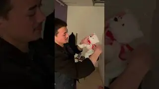 Possessed Teddy Bear fights back! 🧸