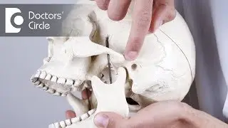 Treatment options for Temporomandibular Joint pain - Dr. Rajeev Kumar G