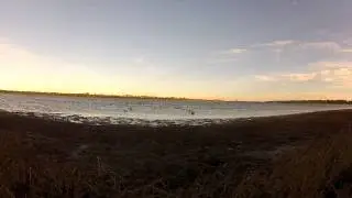 Tan Mans hunt