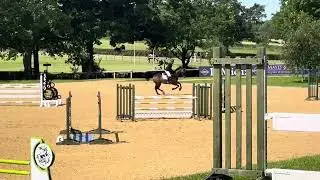Jay Halim and Cayiano Senior Foxhunter Hickstead 20/06/2024