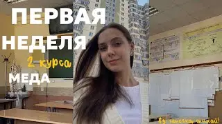 первая неделя учебы на 2 курсе меда | новые дисциплины | педиатрия | кгму