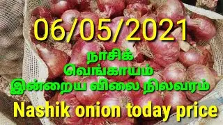 Nashik Red Onion geeveeare channel Onion today price onion business நாசிக் வெங்காயம் வியாபாரம் ஆனியன