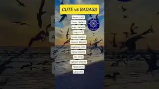 CUTE vs BADASS which one are you #zodiac #zodiacsigns #astrology #astrologysigns#horoscope #tarot