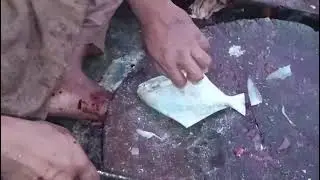 Paplet Fish Cutting Like a Pro 🔪 | Clean & Fresh Pomfret | Karachi Fish Market | JZ Seafood