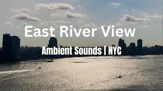 Manhattan | East River View | Typing | City Ambience #writewithme 