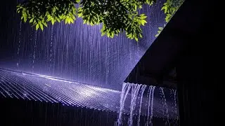 Relaxing Heavy Rain & Distant Thunder for Deep Sleep & Peaceful Dreams #28