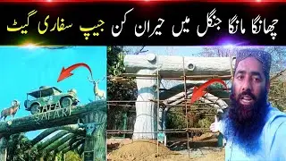 New Jeep Safari Gate in Changa Manga | Amazing Development