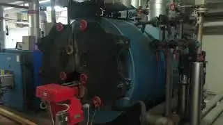 Thermea Hot Water and Steam Systems