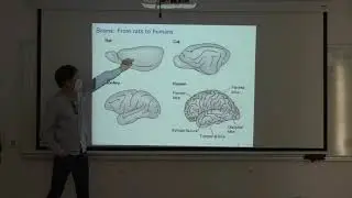 Nicolas Brunel Lecture I Beg Rohu 2021