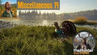 Miscellaneous 19 theHunter Call of the Wild