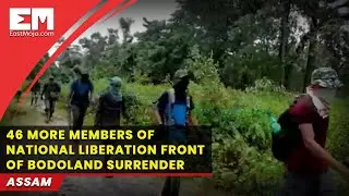 46 NLFB militants surrender in Assam in 2 days: Police