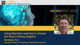 Will Debello, Ph.D. &mdash; Using Machine Learning to Unravel the Brain&rsquo;s Wiring Diagram