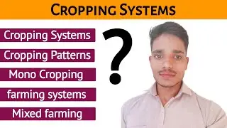 Cropping systems|| Agronomy || farming systems|| #intercropping #AgrifiStudy