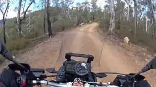 Flea Creek hill climb