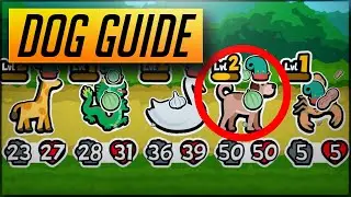 DOG GUIDE - Super Auto Pets 10 Win Strategies
