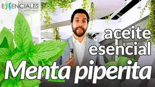 Usos del aceite esencial de Menta Piperita