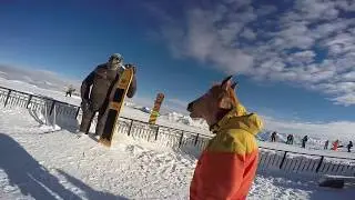Антигайд сноуборду для новичков от коня 18+ маты | Wrong snowboard manual for beginners from horse.