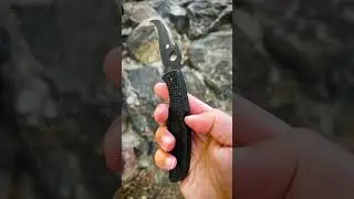 Matriarch&trade; 2 Emerson Opener Black Blade  &nbsp;#Spyderco #SpydercoKnives #SerratedSaturday
