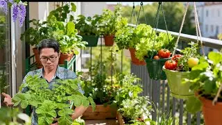 DIY Hanging Vegetable Planters: Transform Your Small Balcony Garden!