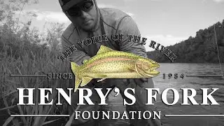 W4F- Fly Fishing Streamers with Henry's Fork Foundation
