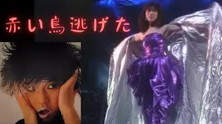 【中森明菜／名曲068】『赤い鳥逃げた』