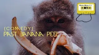 Funny Comedy Background Music - Fast Feel Banana Peel (No Copyright Music)