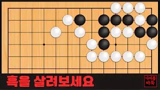 바둑 묘수 사활 - 어디로 가면 살까요? 흑을 살려보세요