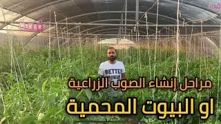 تعرف علي #الصوب_الزراعية او #البيوت_المحمية و مراحل الانشاء