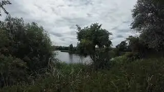 🌳 Tranquil Waterside Escape &ndash; Pure Nature ASMR for Sleep & Focus 🌫️💧