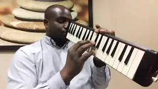Jazz Melodica , Saint louis Blues Melodica - Kay Benyarko ジャズメロディカ