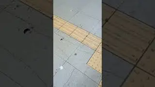 【実況】BBAついに＠関空へ&hellip;#japan #airport  #station #international #live  #world #trip #tour #travel #short