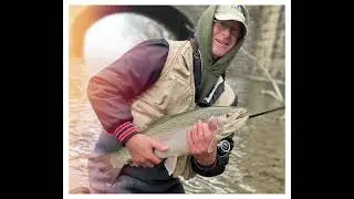 Fly fishing the tributaries of Lake Erie