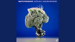 Back To The Groove (Justin Jay x Janis Zielinski remix)