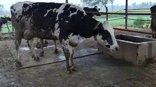 Mere farm pe fait nhi aa rha tha dekhiye kya kiya hu ki 4+ka fait aa rha h