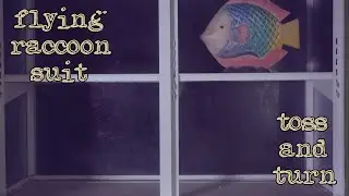Flying Raccoon Suit - 
