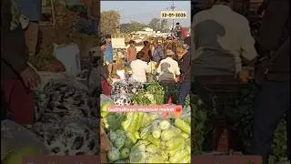Wholesale Vegetable Market Gudimalkapur👌#hyderabad #vegetables #market #veg #2025