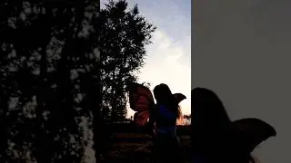 Крылья феи #крыльябабочки #крыльяфеи #wings #angelwing