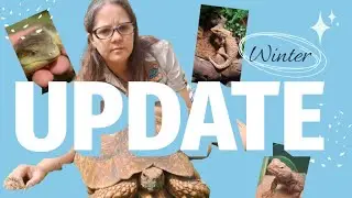 Mad Hatter Exotics Winter Update!