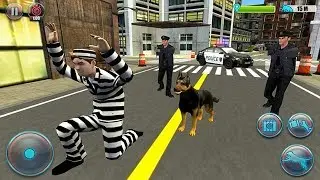 NY City Police Dog Simulator 3D Android Gameplay