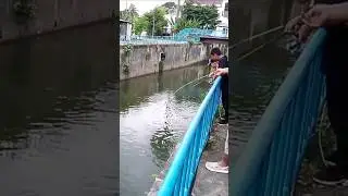 Bocil mancing ikan selokan || #short #fishing #experiment