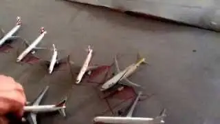 Gemini jets airport preview EIA