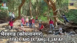 #भैरवगड ट्रेक आणि जंगल सफारी #bhairavgarh koyana Nagar parisar# Dhananjay avsari Hemant langad