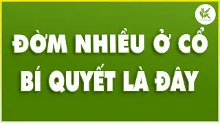 CỔ ĐỜM NHIỀU - ĐAU RÁT VÀO MÙA ĐÔNG Hãy Thử Ngay Mẹo Hay Vô Cùng Đơn Giản | TCL