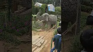 Karnataka  Siri Horticulture Garden Ooty #KSDH #Ooty