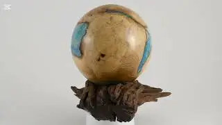 Large handmade wooden urn of Black Locust Burl with blue minerals on a mangrove root