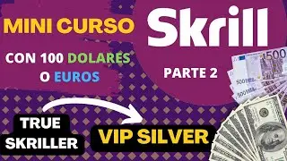 Mini Curso SKRILL - &iquest;Como elevar tu nivel TRUE SKRILLER a VIP con solo USD 100.-? - Parte (2)