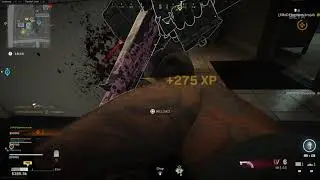 Akimbo 357 OP Warzone